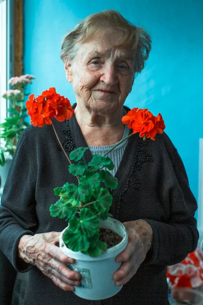 Una Donna Anziana Con Una Piantina Fiori Tra Mani — Foto Stock