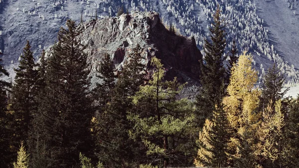 Altai Cumhuriyeti Nin Eteklerinin Sonbahar Manzarası — Stok fotoğraf