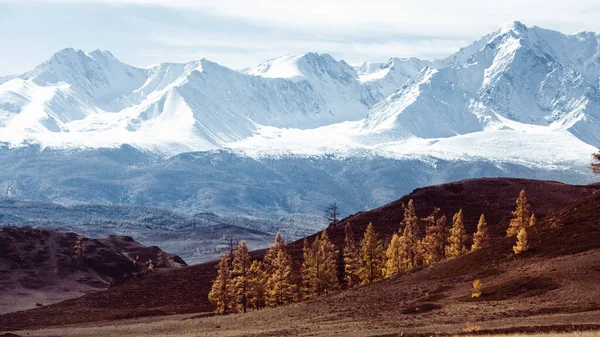 Panorama Mountain North Chuya Ridge Altai Republic Russia — Stock Photo, Image