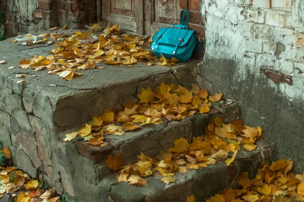 Una Borsa Della Donna Trova Sul Portico Autunno Coperto Foglie — Foto Stock