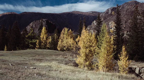 Efteråret Udsigt Foden Altai Republik Rusland - Stock-foto