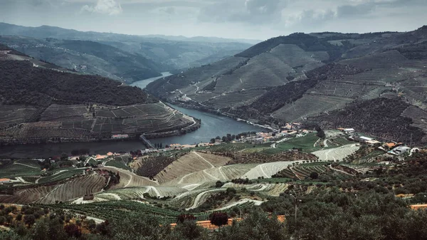 ドーア川とブドウ畑のトップビューは ポルトガル北部のドーロ渓谷の丘の上にあります — ストック写真