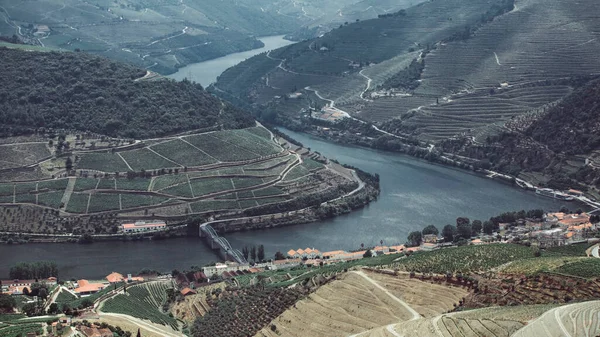 Blick Von Oben Auf Den Fluss Douro Und Die Weinberge — Stockfoto