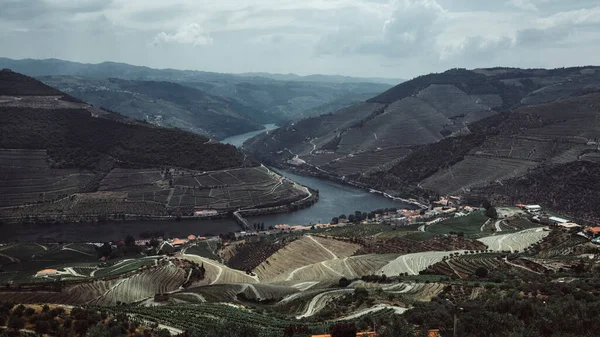 風景の中に丘やブドウ畑の景色 Douro Valley Portugal — ストック写真