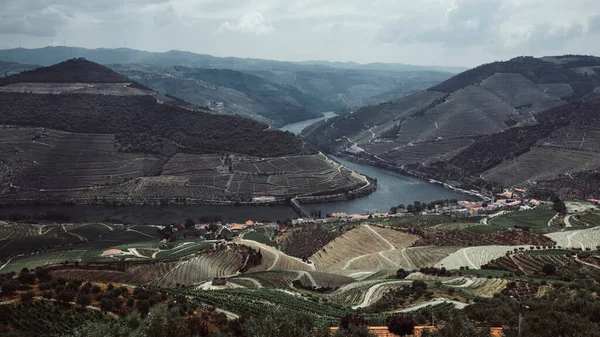 Vue Sur Vallée Douro Rivière Les Vignobles Sont Sur Une — Photo