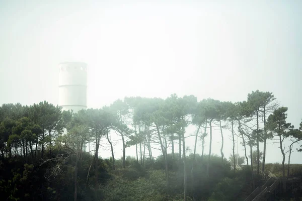 Pohled Biologický Park Paio Vila Nova Gaia Porto Portugalsko — Stock fotografie