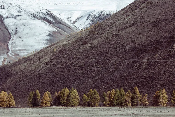 Utsikt Över Bergskammen Altai Republic Ryssland — Stockfoto