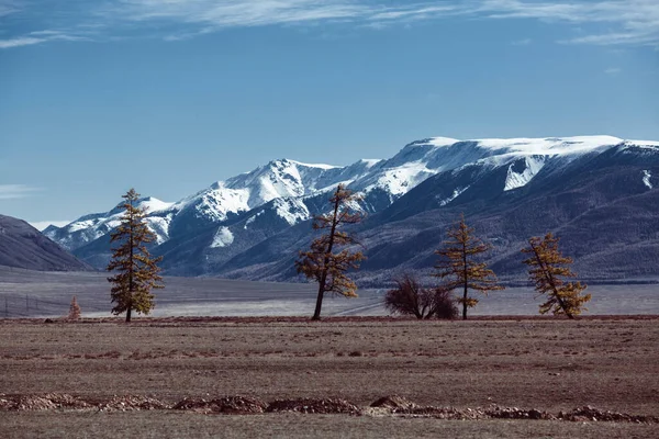 Utsikt Över North Chuya Berget Altai Republiken Ryssland — Stockfoto