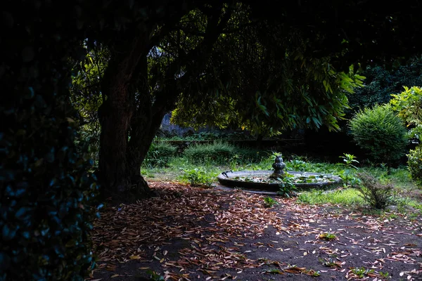 公园里一个古老的被遗弃的喷泉 葡萄牙布拉加 — 图库照片