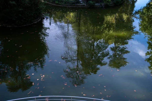 View Water Surface Pond Park Porto Portugal — Stock Photo, Image