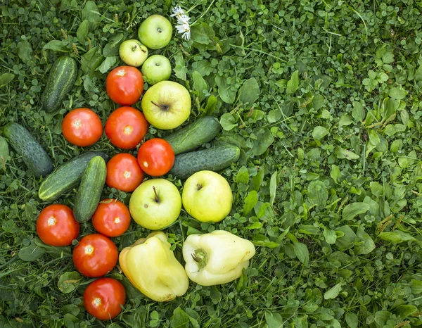 Obst und Gemüse liegen im Gras — Stockfoto