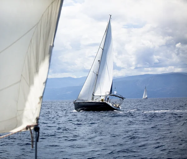 Sailing in sea — Stock Photo, Image