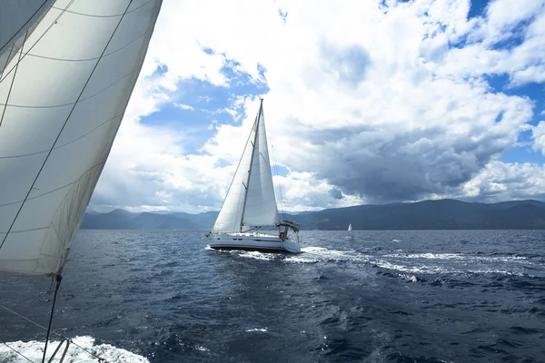 Sailing in sea — Stock Photo, Image