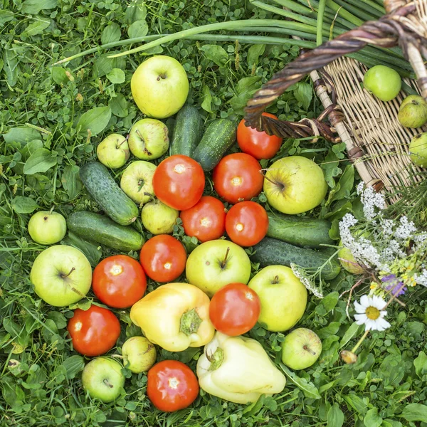 Cesta com legumes — Fotografia de Stock