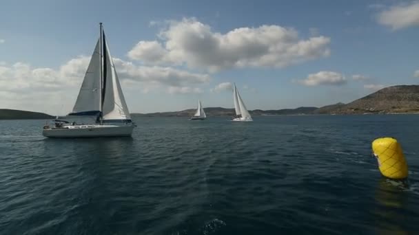 Veleiros participam na regata de vela — Vídeo de Stock