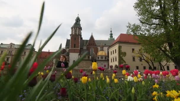 En territorio del Palacio Real en Wawel. Cracovia, Polonia . — Vídeo de stock