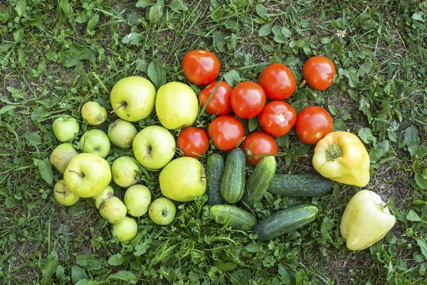 Gemüse auf dem Gras — Stockfoto