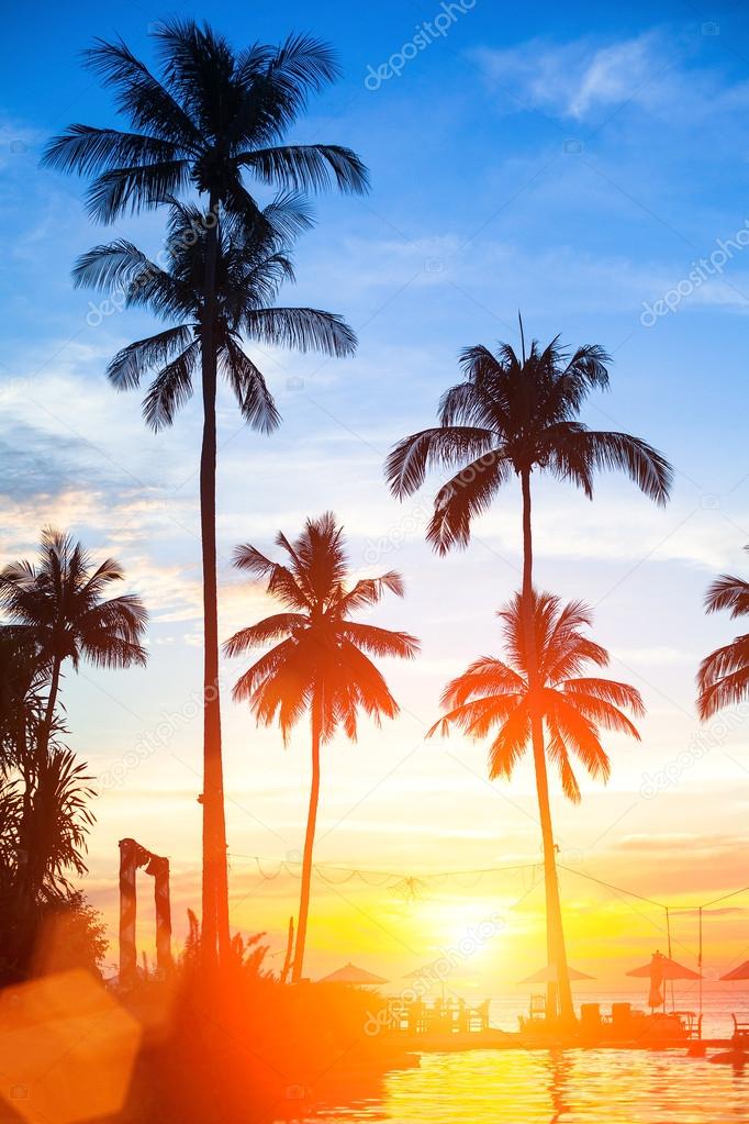 Sunset on a tropical beach.