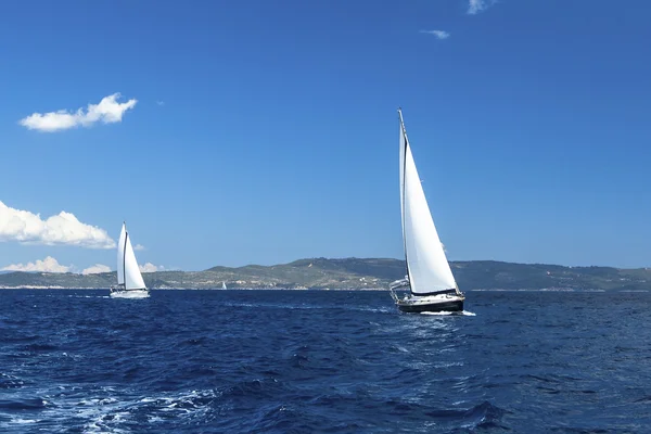 Sailboats of the regatta — Stock Photo, Image