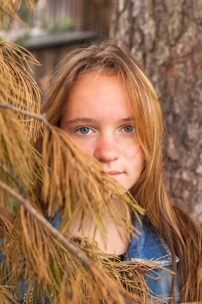 Meisje in een dennenbos. — Stockfoto