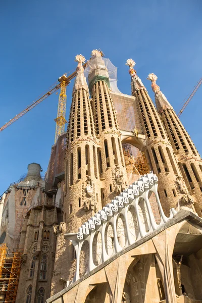 La sagrada familia katedrály — Stock fotografie