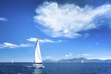 yelken yarışı yarış