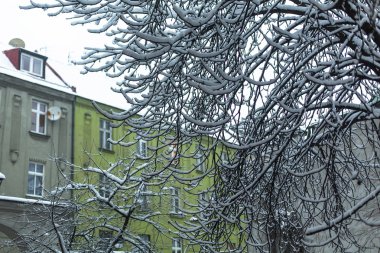 Krakow tarihi bölgesi