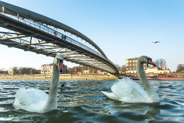 Most přes řeku vistula — Stock fotografie