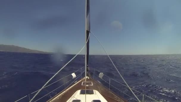 Segling regatta i havet. — Stockvideo