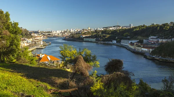 Top View of Douro river — Stock Photo, Image