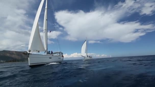 Boten in zeilregatta — Stockvideo