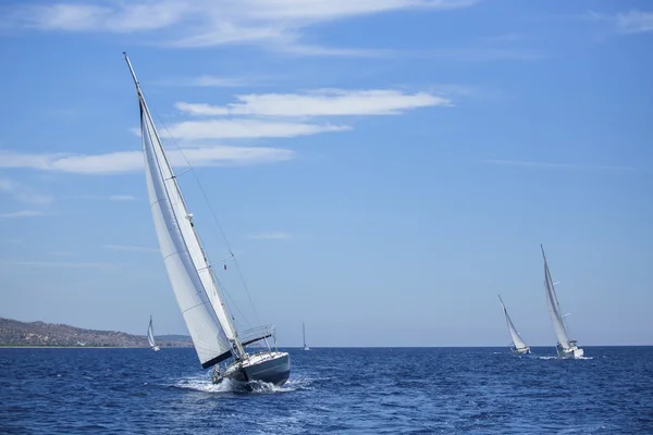 Barche a vela alla regata di vela — Foto Stock