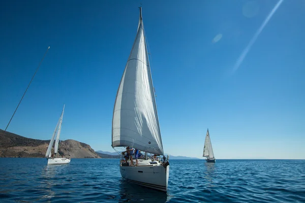 Segler nehmen an Segelregatta teil — Stockfoto