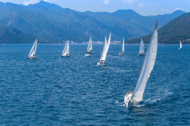 Denizciler regatta Türkiye'de katılmak