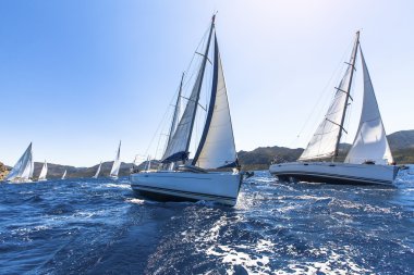 Dalgalar aracılığıyla Rüzgar yelken
