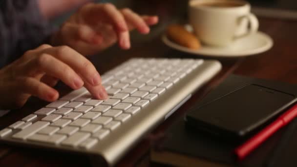 Manos femeninas escribiendo en el teclado — Vídeos de Stock