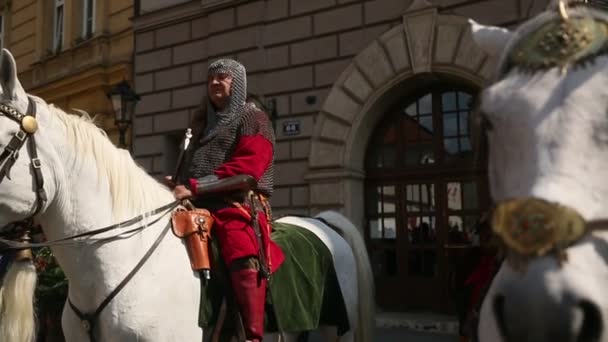 Cavalaria polonesa durante o Dia da Constituição — Vídeo de Stock