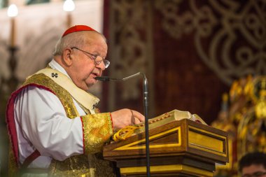 Kardinal ve Krakow Stanislaw Dziwisz Başpiskoposu