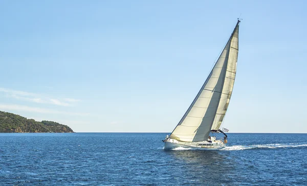 Yelkenli yarışlarında tekne