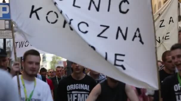 March For Cannabis Liberation in Krakow — Stock Video