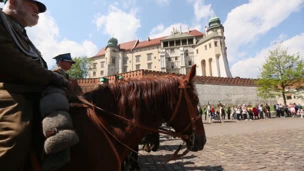 Polska kavalleriet under nationell helgdag — Stockvideo