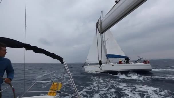 Conjunto de clipes: Marinheiros participam na regata de vela — Vídeo de Stock