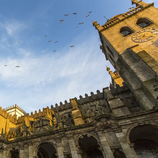 Catedral do Porto (Se do Porto ). — Fotografia de Stock