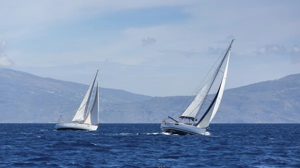 Boats in sailing regatta