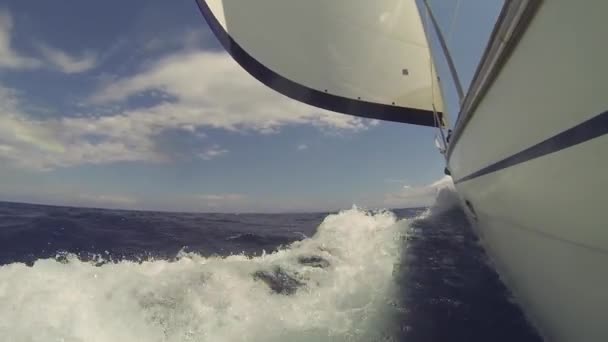 Zeilen in wind door golven — Stockvideo