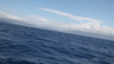 Yelken. Yat yarışı