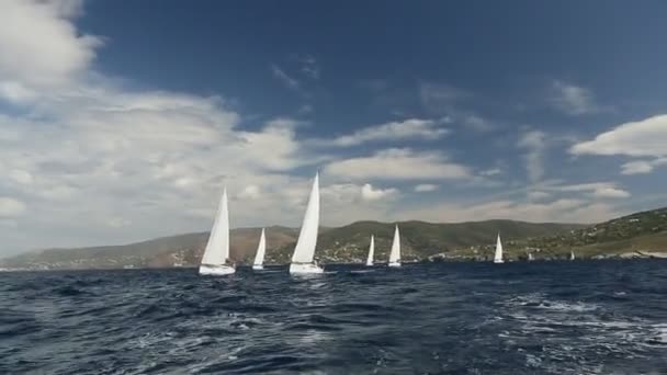 Dalgaları aracılığıyla yelkenli tekneler — Stok video