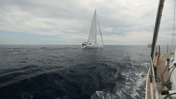 Sailboats participate in sailing regatta — Stock Video