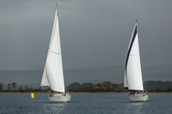 Veleiros participam na regata de vela — Fotografia de Stock