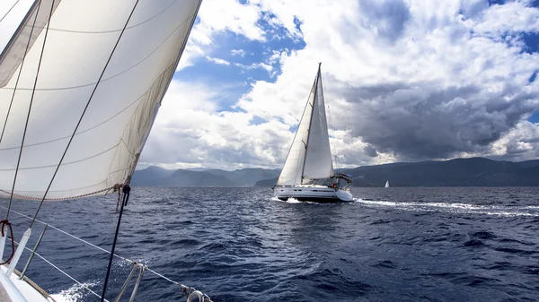 Sailing on race in sea — Stock Photo, Image